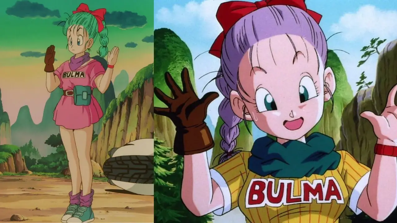 Bulma Briefs (Dragon Ball series)