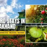 Orchard Stays in Uttarakhand