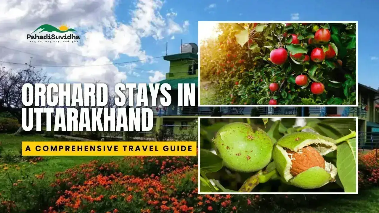 Orchard Stays in Uttarakhand